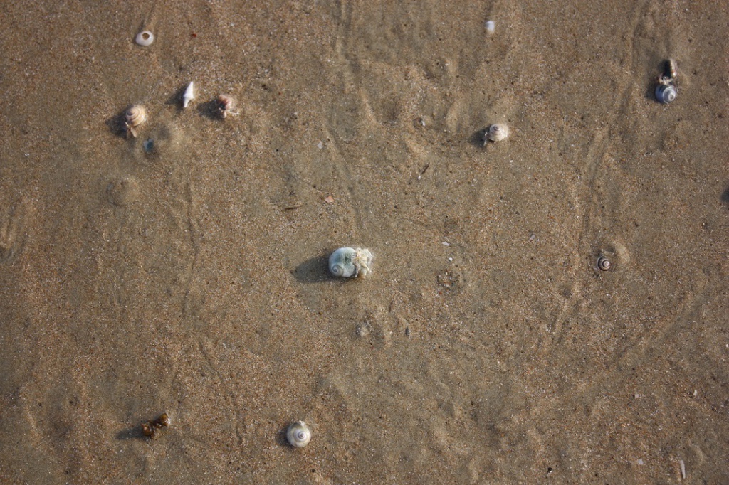 Китай 2010 411.jpg
